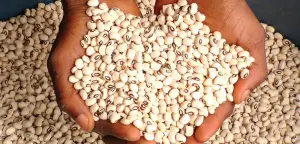 Beans Price in Nigeria