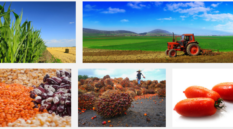 Agricultural commodities prices
