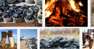 Charcoal Export Business in Nigeria
