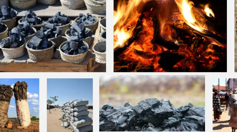 Charcoal Export Business in Nigeria