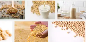 Soybeans price in nigeria