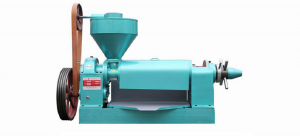 Groundnut oil extraction machine